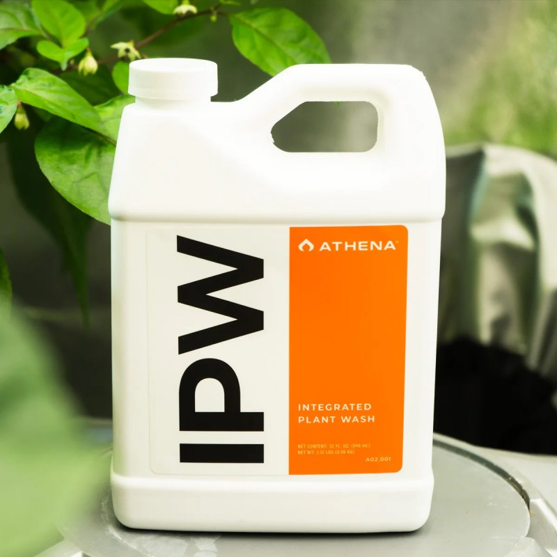Athena IPW Pest Control 3,78L