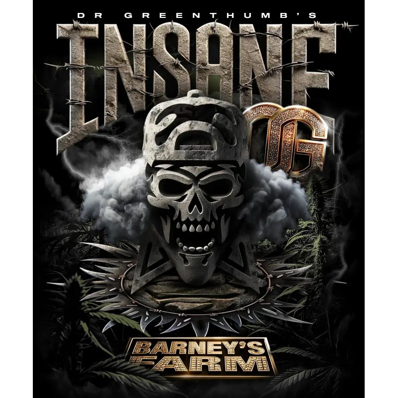 Seme Barneys Insane OG 10 fem