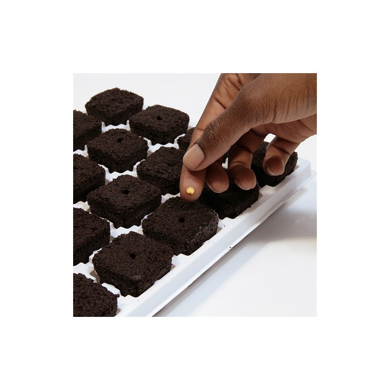 Clonex ROOT RIOT 100 kosov