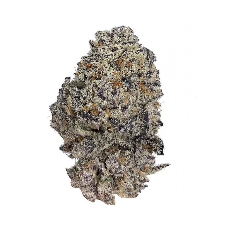 Growers Choice Original Oreoz fem