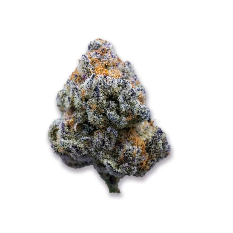 Growers Choice Platinum Mimosa Cookies Fast fem