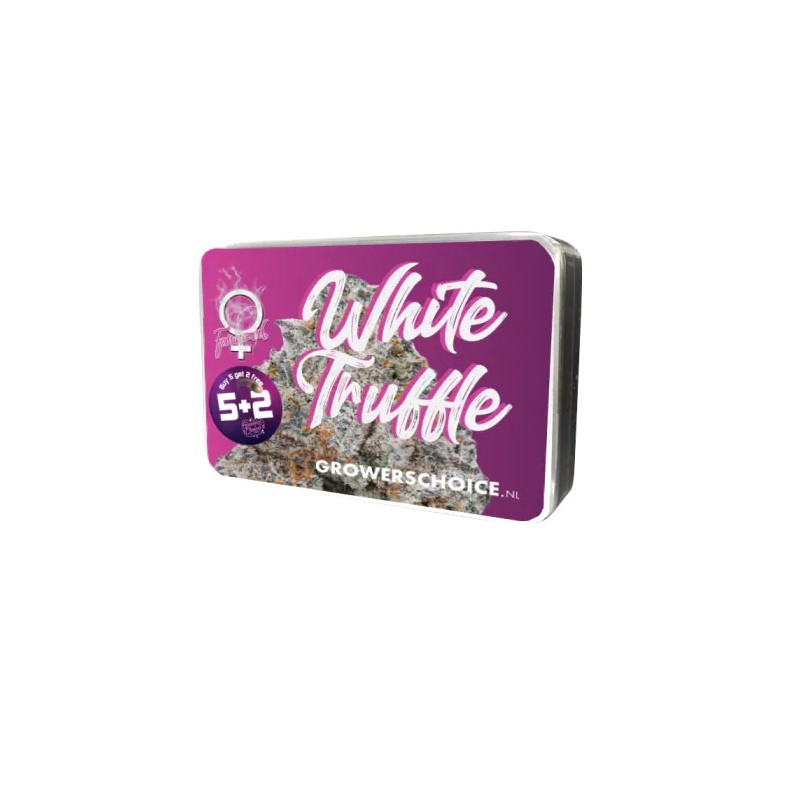 Growers Choice White Truffle fem