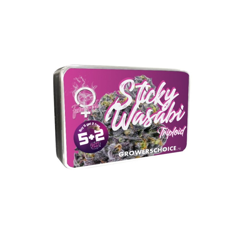 Growers Choice Sticky Wasabi Triploid F1