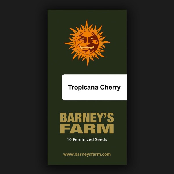 Seme Barneys Farm Tropicana Cherry 10 fem