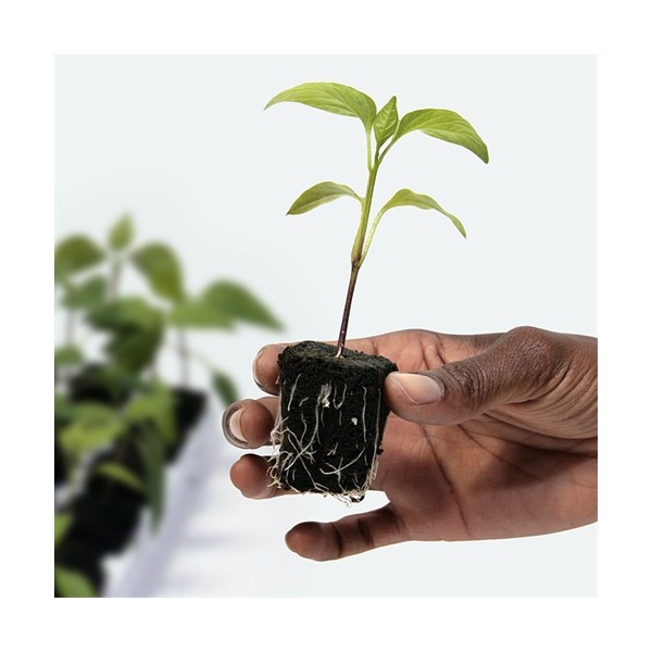 Clonex ROOT RIOT 100 kosov