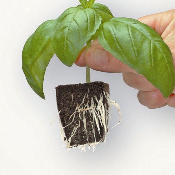 Clonex ROOT RIOT 100 kosov