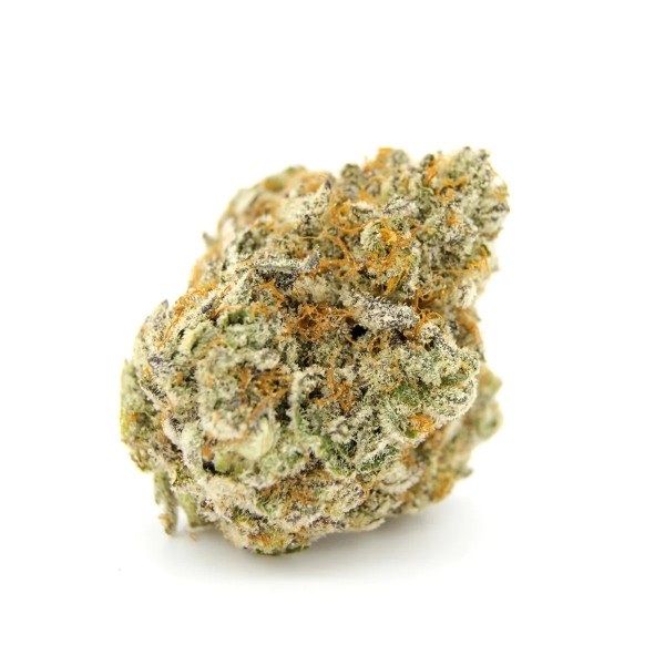Growers Choice Forbidden Runtz fem