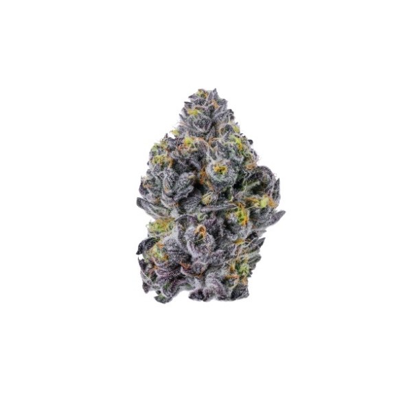 Growers Choice Sticky Wasabi Triploid F1