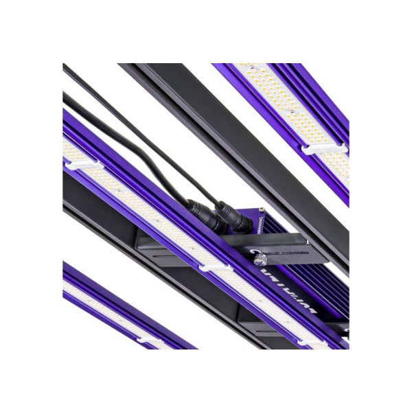 Lumatek Zeus 300W PRO LED 3.1