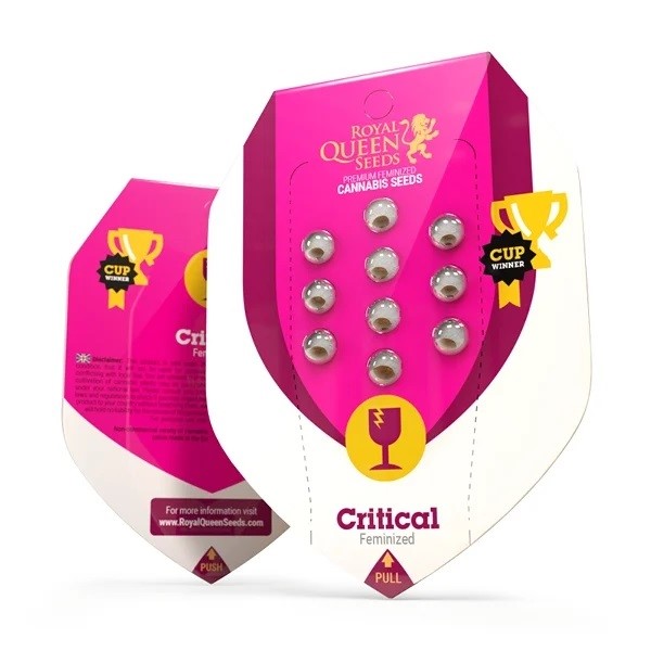 Seme Royal Queen Seeds Critical Feminizirana 25 kom