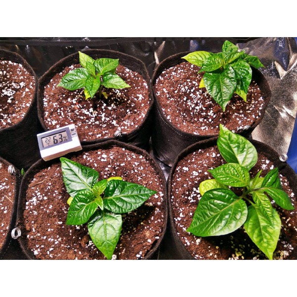 Gronest  AQUA Breathe 60x60x42cm 150L