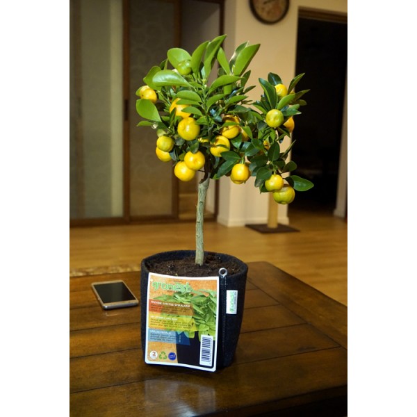 Gronest  AQUA Breathe 36x36x30cm 39L