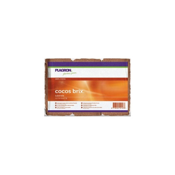 Plagron Coco Brix 6kos