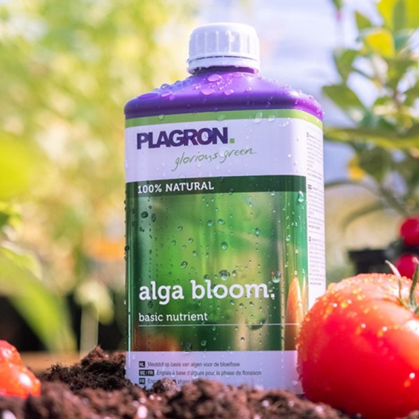 Plagron Alga Bloom 1L