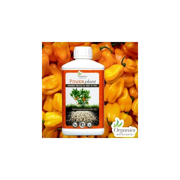 Organics Nutrients Power Plant 1L
