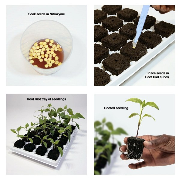 Clonex ROOT RIOT 100 kosov