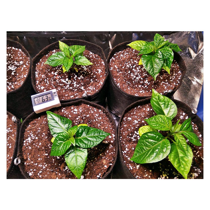 Gronest AQUA Breathe 28x28x30cm 25L