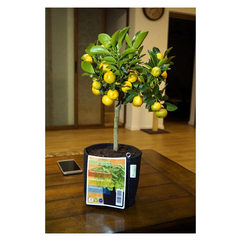 Gronest  AQUA Breathe 36x36x30cm 39L