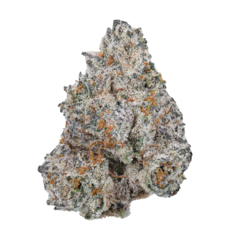 Growers Choice White Truffle fem