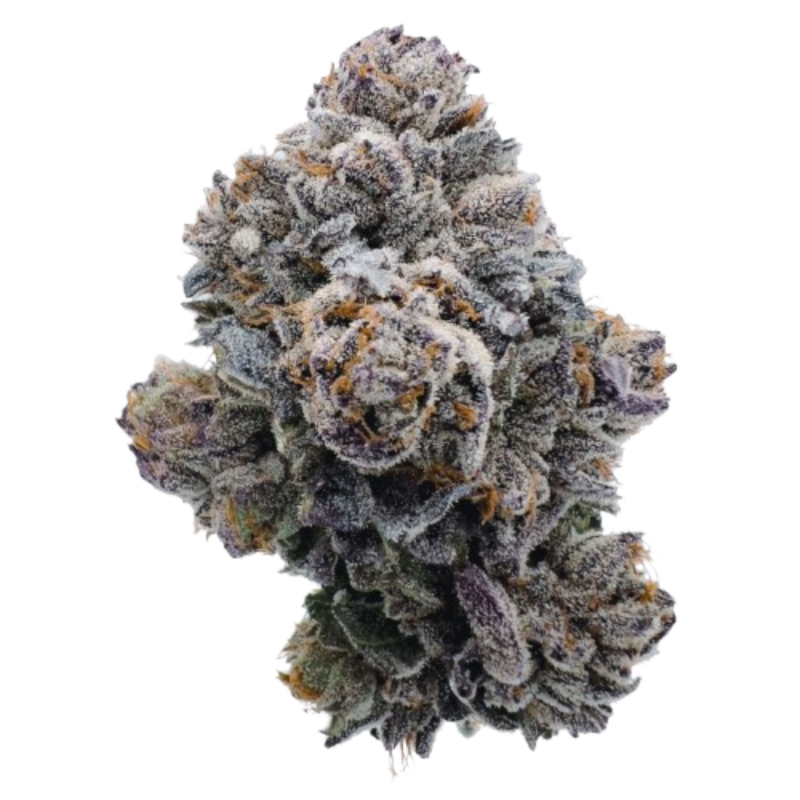 Growers Choice Pink GlitterBomb fem