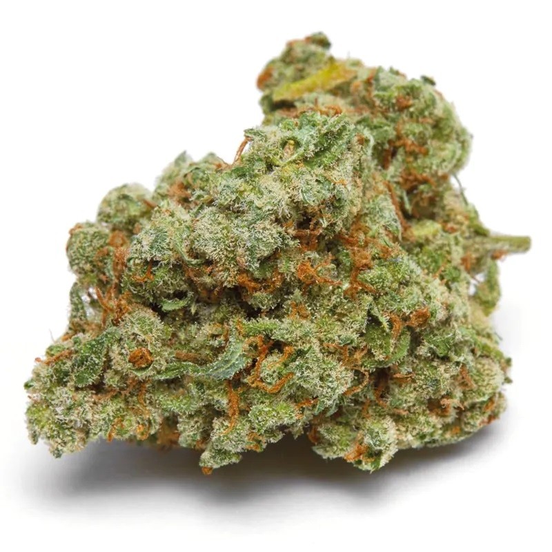 Growers Choice Banana Sherbet fem