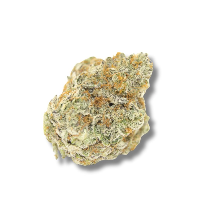 Growers Choice Permanent Whitemarker fem