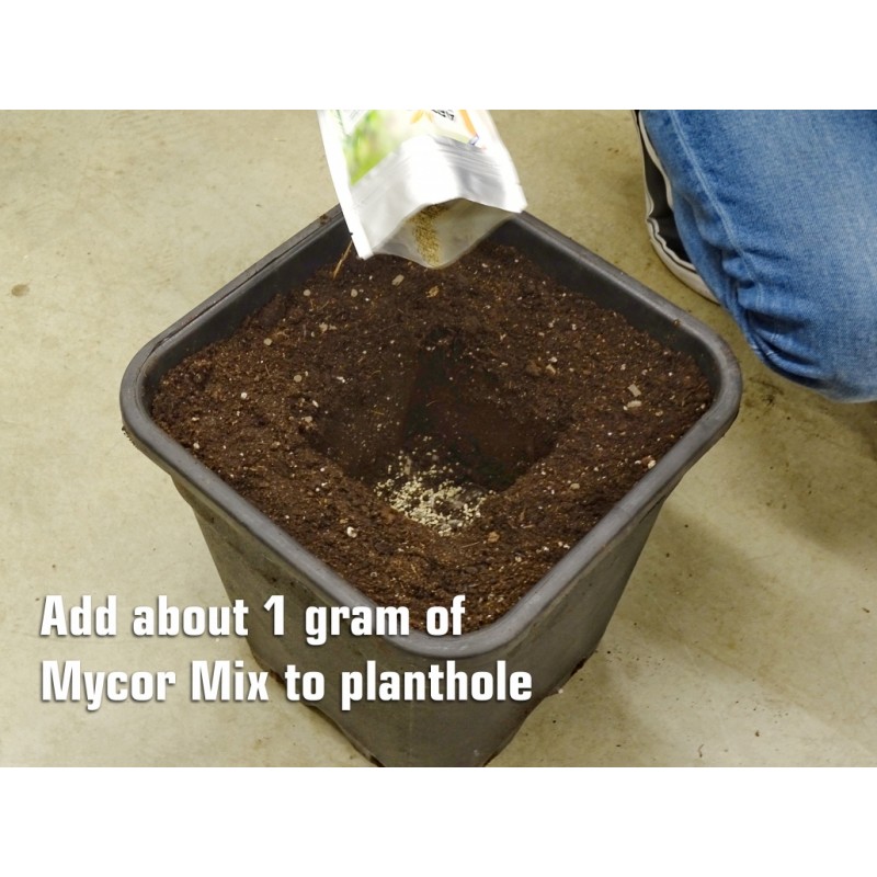 Aptus Mycor Mix 1kg (1000g)