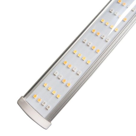 LED