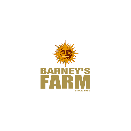 Barneys-Farm
