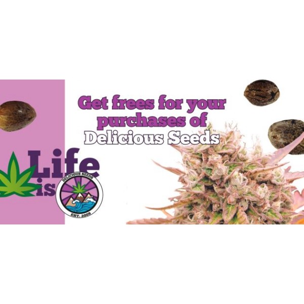 Delicious Seeds Delicious Cookies 10 fem