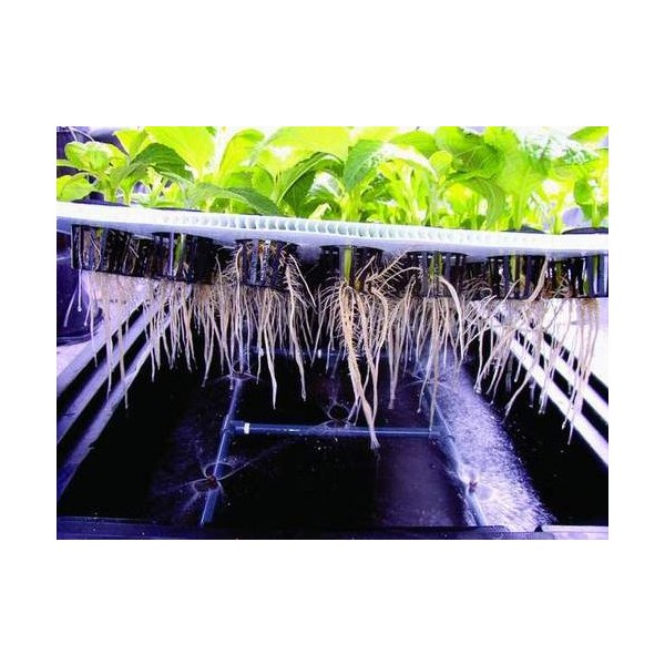 Nutriculture X-Stream Propagator 120