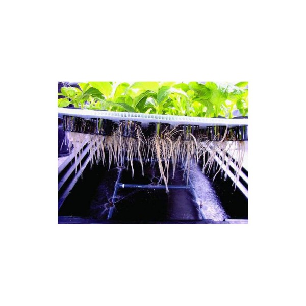 Nutriculture X-Stream Propagator 40