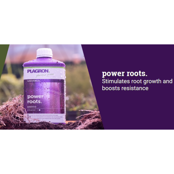 Plagron Power Roots 250ml