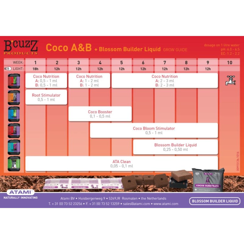 Atami B-Cuzz Coco A+B 2X1L