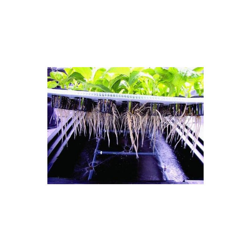 Nutriculture X-Stream Propagator 120