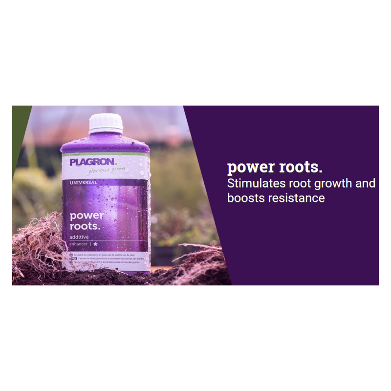 Plagron Power Roots 250ml