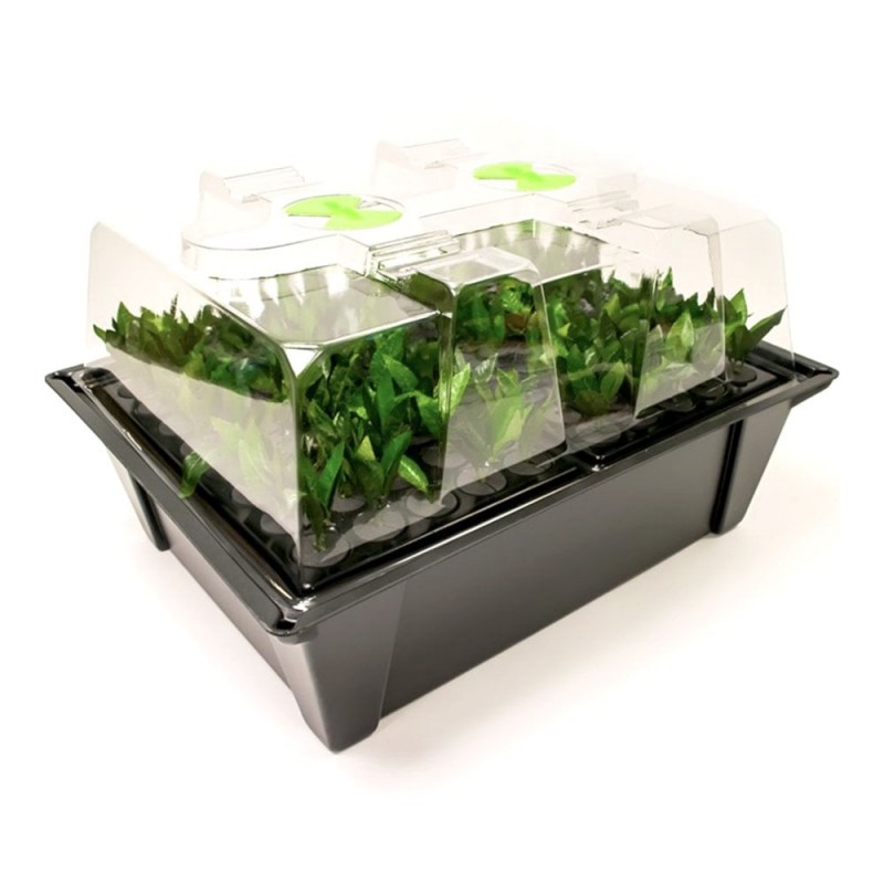 Nutriculture X-Stream Propagator 80